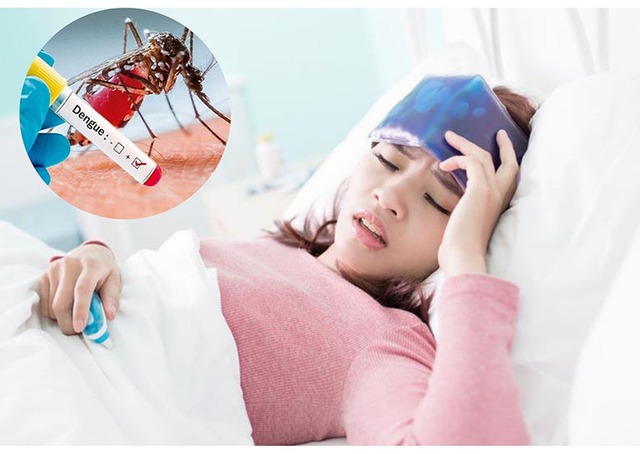 Sốt xuất huyết gia tăng, Bệnh viện Công Vĩnh lưu ý cách chăm sóc người bệnh tốt nhất